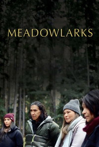 Луговые жаворонки